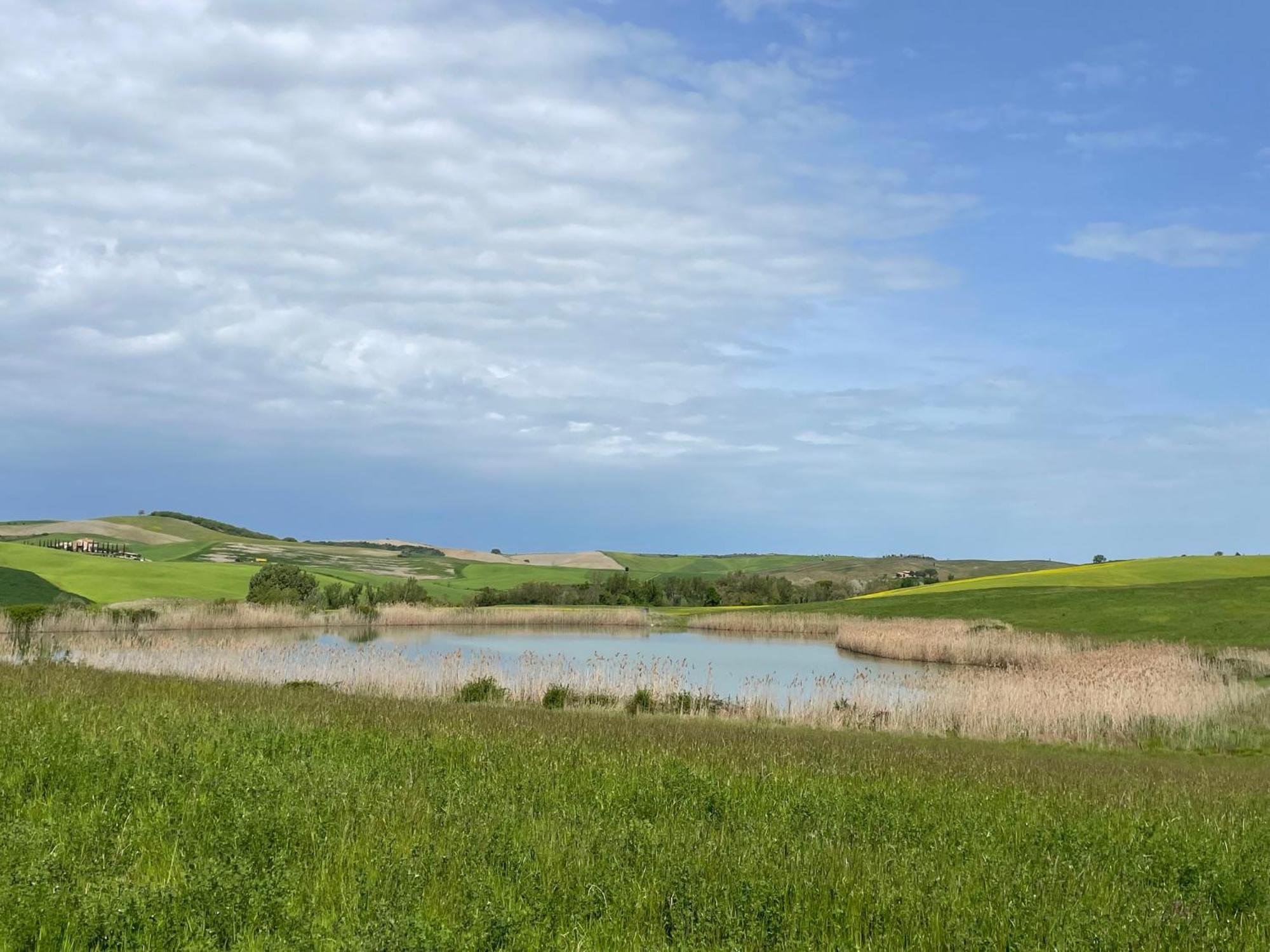 Agriturismo Le Sorbelle D'Orcia Con Piscina Pienza Luaran gambar